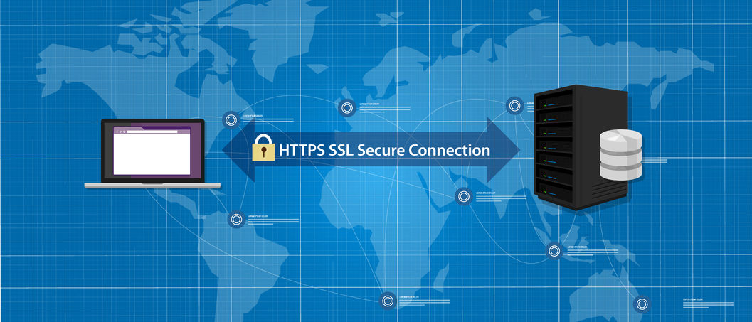 53582638 - https ssl secure connection internet certificate network communication vector